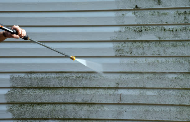 Best Driveway Pressure Washing  in East Cleveland, OH